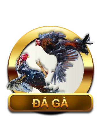 Trang chủ 5 da