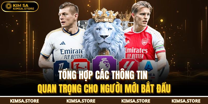 Tổng hợp các thông tin quan trọng cho người mới bắt đầu